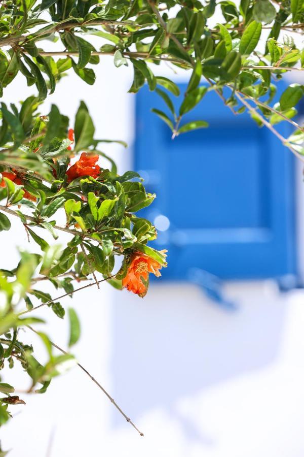 Mykonos In White Villa Mykonos Town Eksteriør bilde